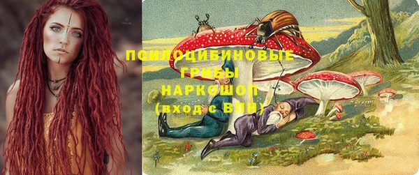 spice Баксан