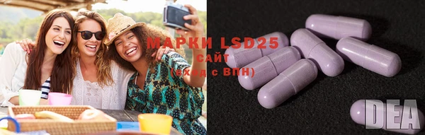 spice Баксан