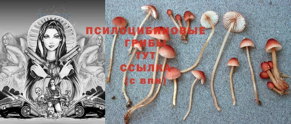 первитин Балахна